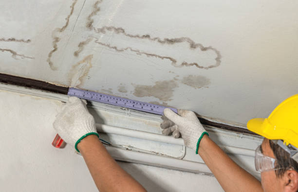 Reliable Flood Cleanup contractor in Lapeer, MI by Water Damage Irwin